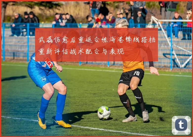 武磊伤愈后重返合练海港锋线搭档重新评估战术配合与表现