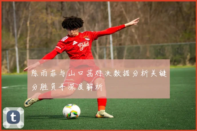 陈雨菲与山口茜对决数据分析关键分胜负手深度解析
